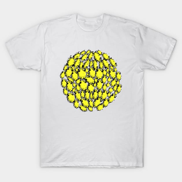 sphere ornament T-Shirt by Mammoths